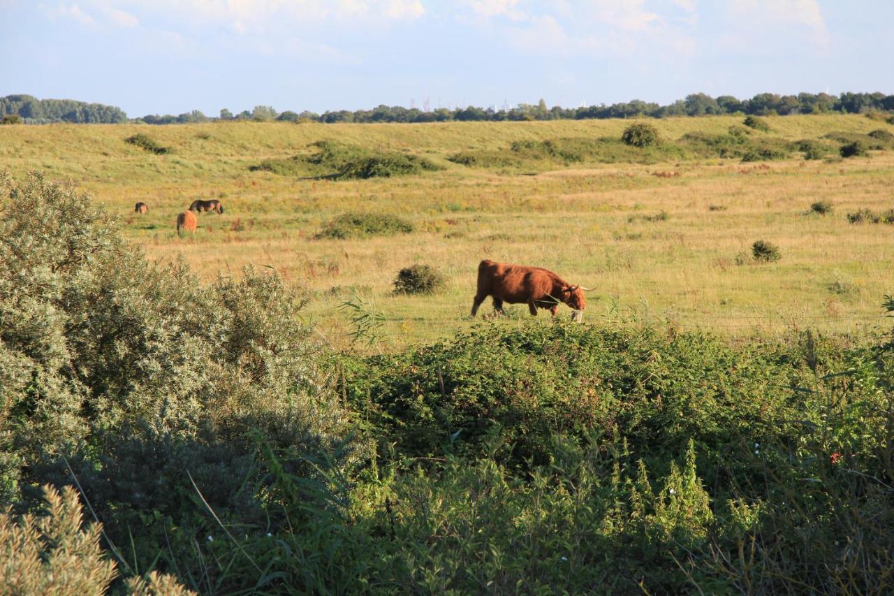 Zeeland & Meer Kamperland Exteriör bild